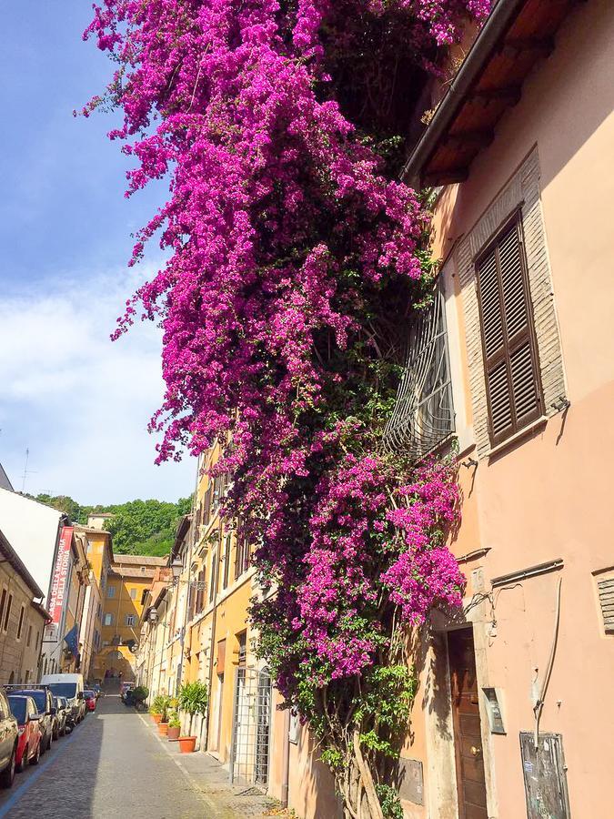 Apartment Good Morning Trastevere Rom